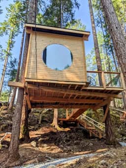 Pine Perch - Image 2
