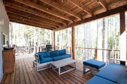 Shady Pine - Image 3