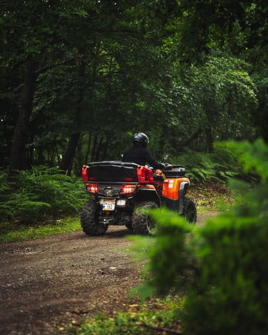 Two off-road vehicles on a mossy forest trail