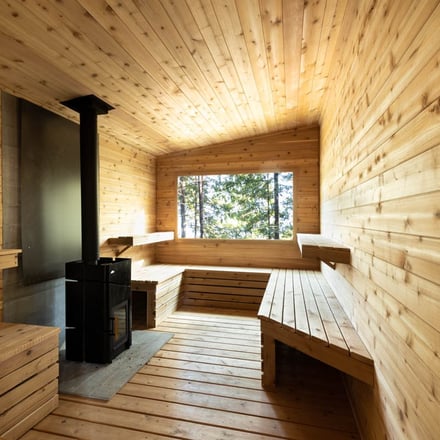 Modern wooden sauna interior with black wood stove, benches, and forest view through window