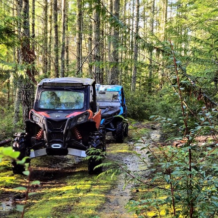 Two off-road vehicles parked on a forest trail surrounded by tall trees and moss-covered ground