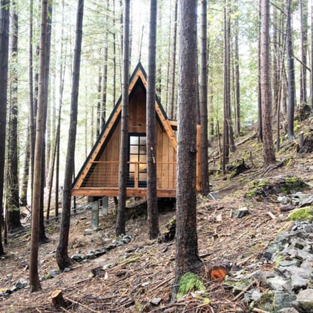 Modern A-frame cabin with orange and black exterior nestled among tall forest trees on a hillside.