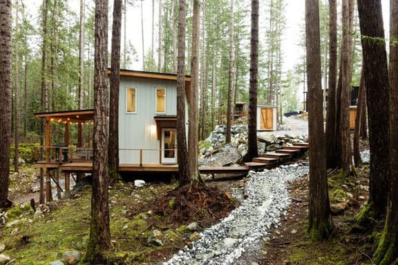 Shady Pine - Image 1
