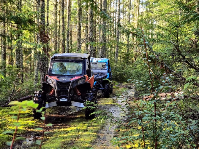 Side-by-side UTV on a mossy forest trail on Texada Island, suitable for beginner riders